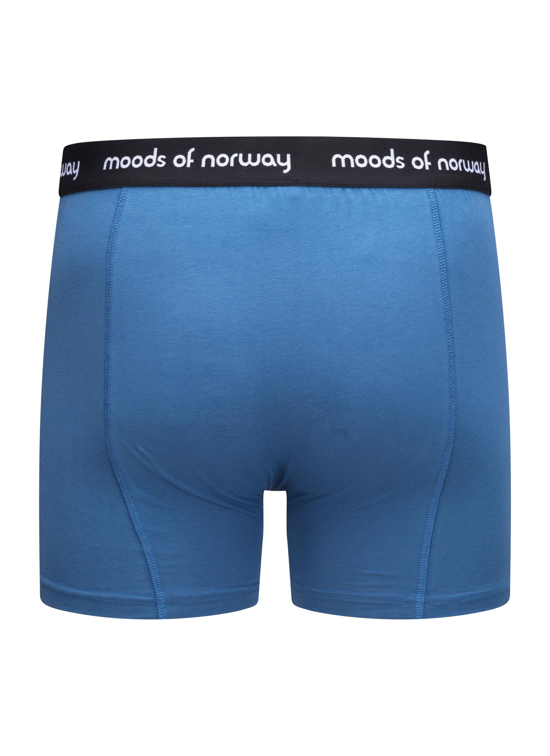 Mats Sterk Bjørn Boxer Blue 2