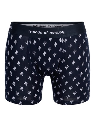 Boxer Regular Single Cactus