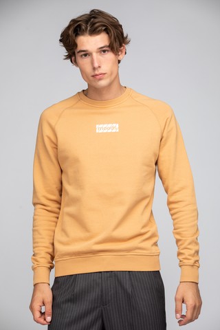 Cato Crew Neck