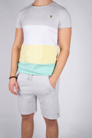 PV Tee Stripe