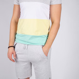 PV Tee Stripe