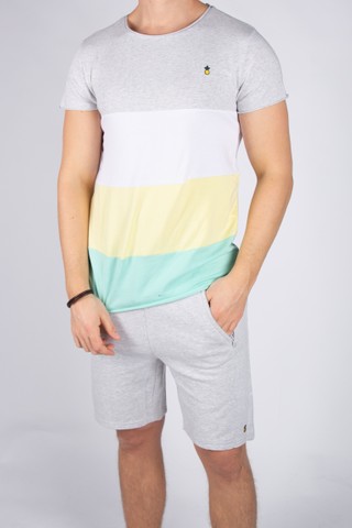 PV Tee Stripe