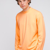 Raid Longsleeve