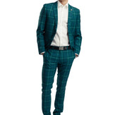 Stein Tonnning Green Check