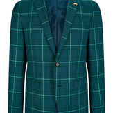 Stein Tonnning Green Check