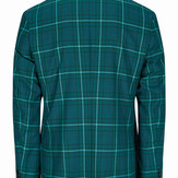 Stein Tonnning Green Check
