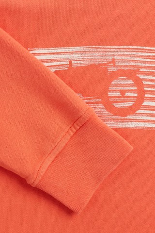 Sebastian Stripe