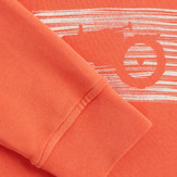 Sebastian Stripe