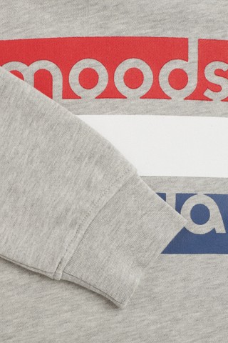 Cato Sweat Flag