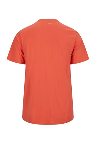 Tor Inge Stripe