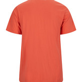 Tor Inge Stripe
